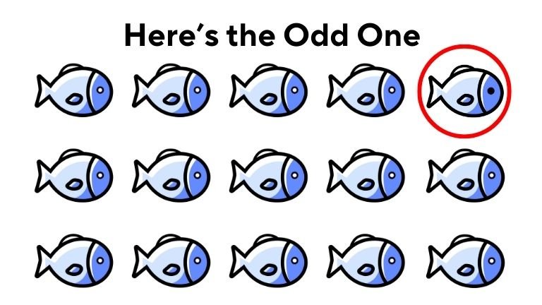 Here's the Odd one